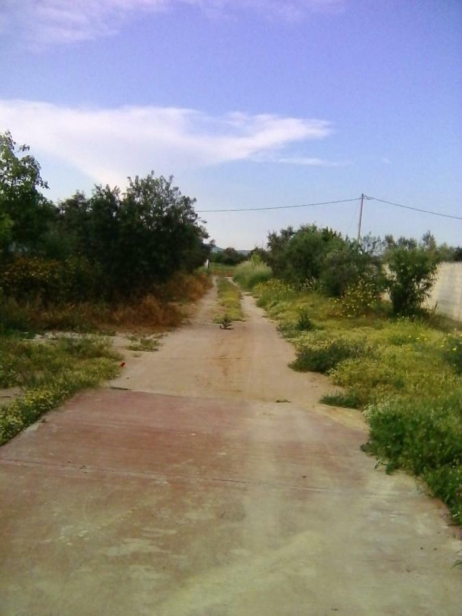 בית הארחה Spáta 	Detached Vintage House מראה חיצוני תמונה